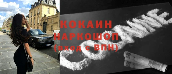бошки Краснослободск