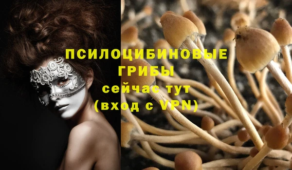 таблы Коряжма