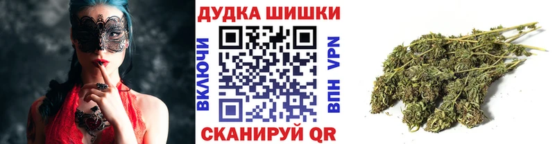 Каннабис сатива  Купить  Старая Купавна 